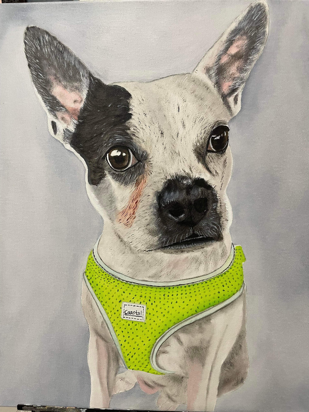 Pet Portrait High Detail