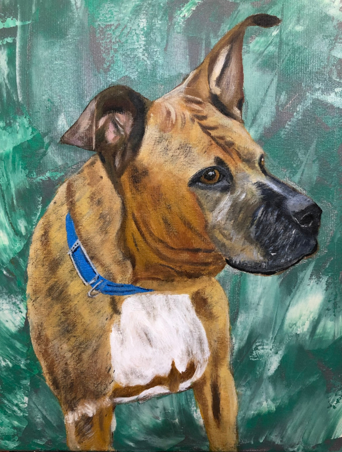 Pet Portrait Limited Detail