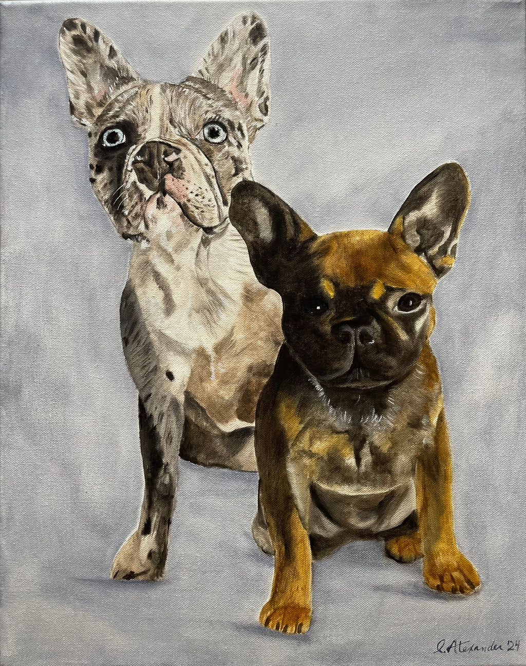 Pet Portrait High Detail